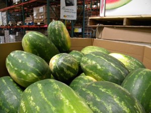 Watermelons at the Food Bank