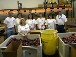 Chevron Volunteers