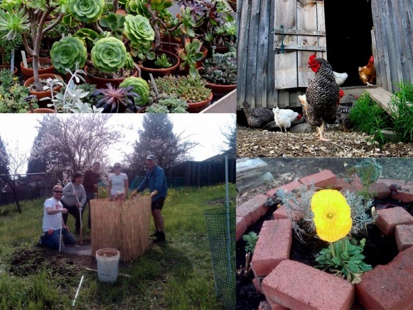 urban farm composite