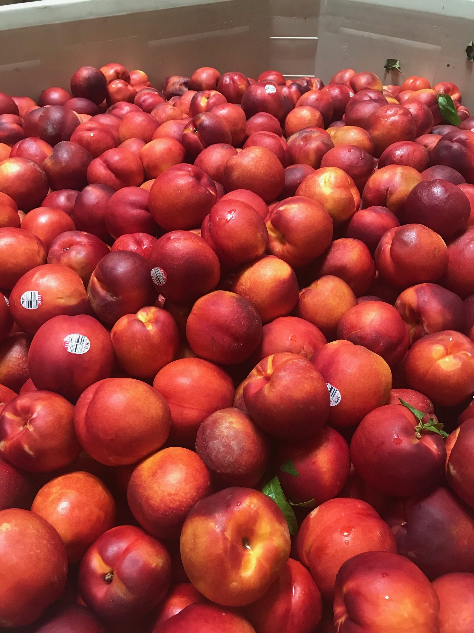 Slow cooker Nectarine cobbler - Food Bank of Contra Costa and Solano