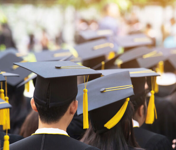 A group of college graduates photographed from behind.