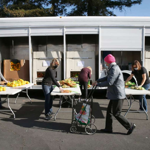 A person in a pink hat visits a Community Produce Program distribution.