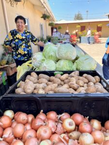 A volunteer prepares to distribute vegetables.