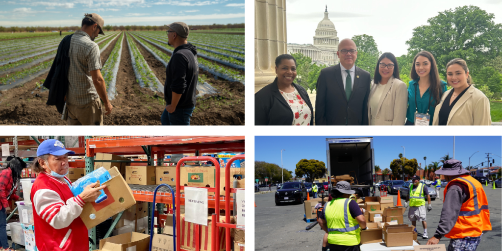 Un collage de fotografías de voluntarios, defensores del Banco de Alimentos y nuestros socios agrícolas.