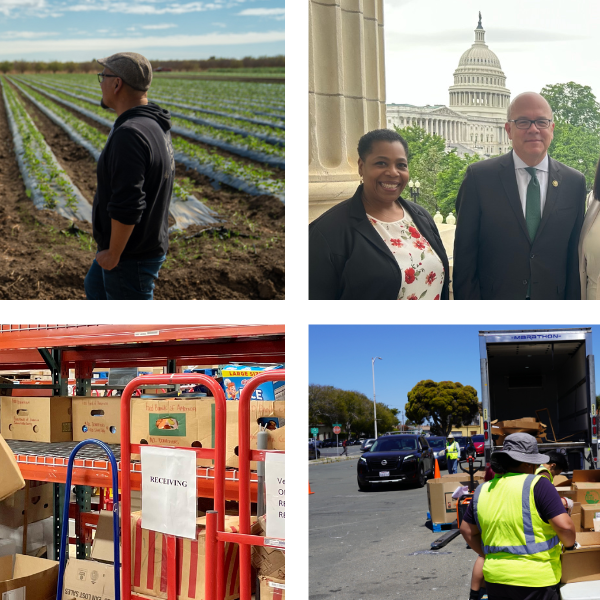 Un collage de fotografías de voluntarios, defensores del Banco de Alimentos y nuestros socios agrícolas.