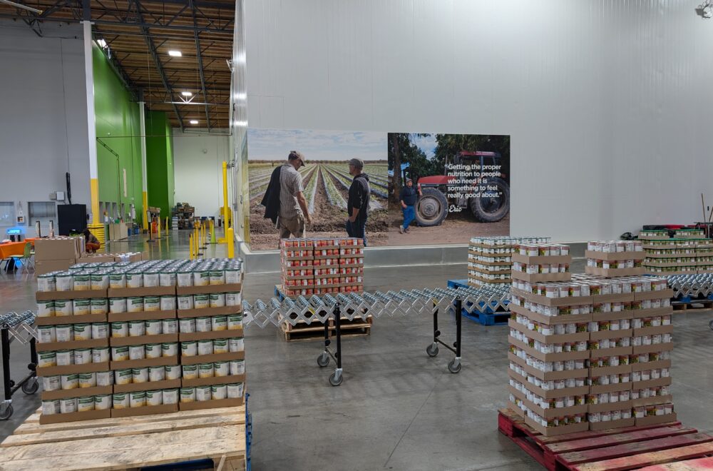 Food sorting equipment is set up in a freshly painted warehouse with are on walls.