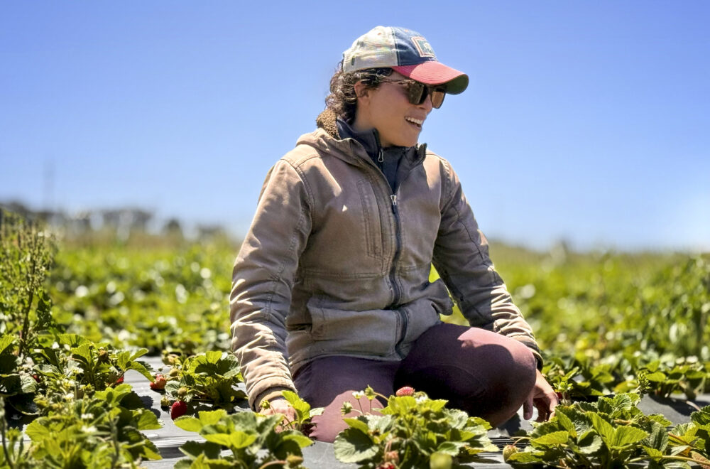 A woman in a field of vegetables.