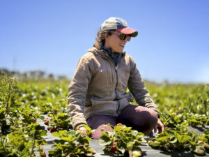 A woman in a field of vegetables.
