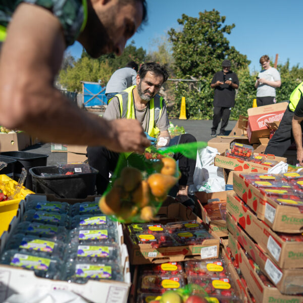 Volunteers sort food at the Concord Islamic Center.